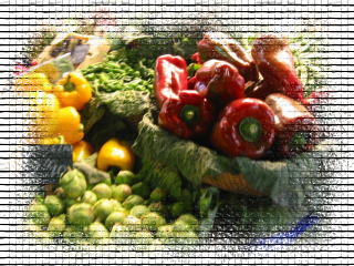 photo1