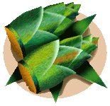 �H�烌�V�s